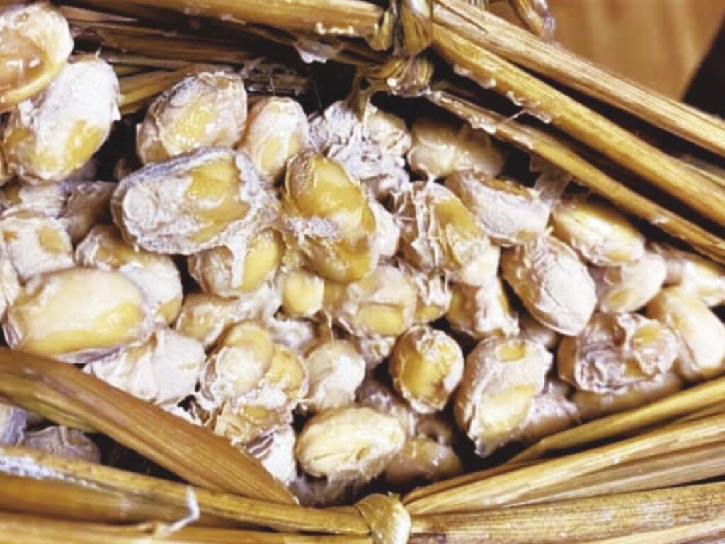 奥会津の大地が育てた稲ワラとスゲで、「ワラつと」から作る天然納豆