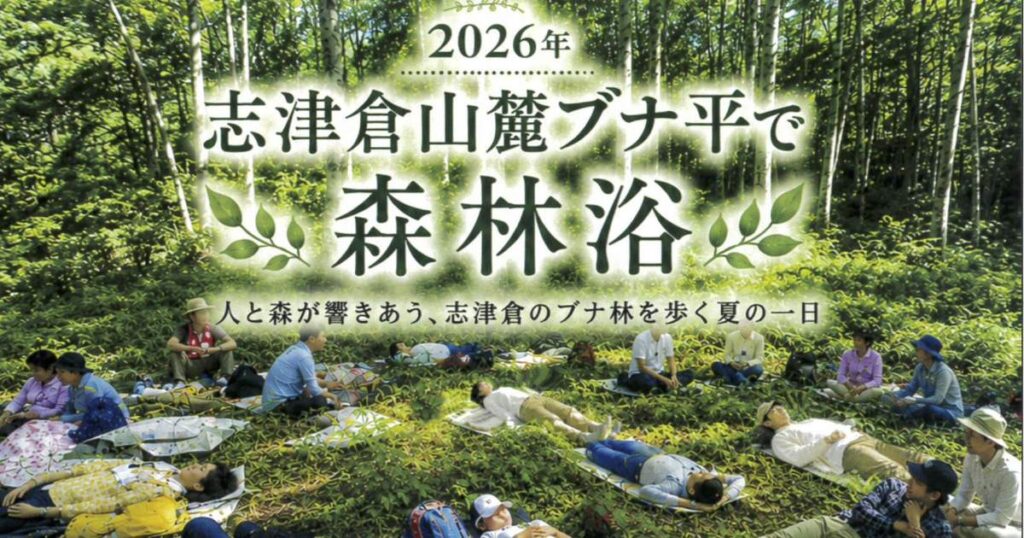 志津倉山麓ブナ平トレッキング＆森林浴体験