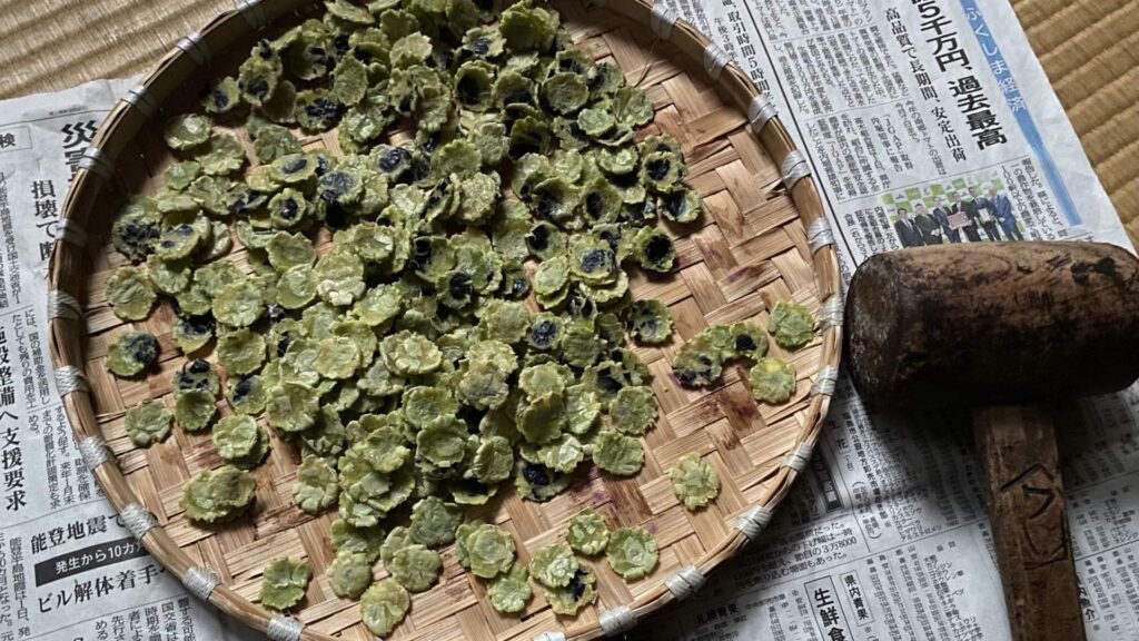 奥会津の伝統的保存食、打ち豆をつくってみよう！